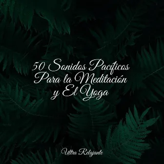 50 Sonidos Pacíficos Para la Meditación y El Yoga by Musica Relajante Specialistas & Musica Relajante