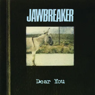 Dear You by Jawbreaker