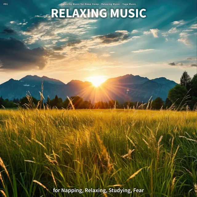 #01 Relaxing Music for Napping, Relaxing, Studying, Fear