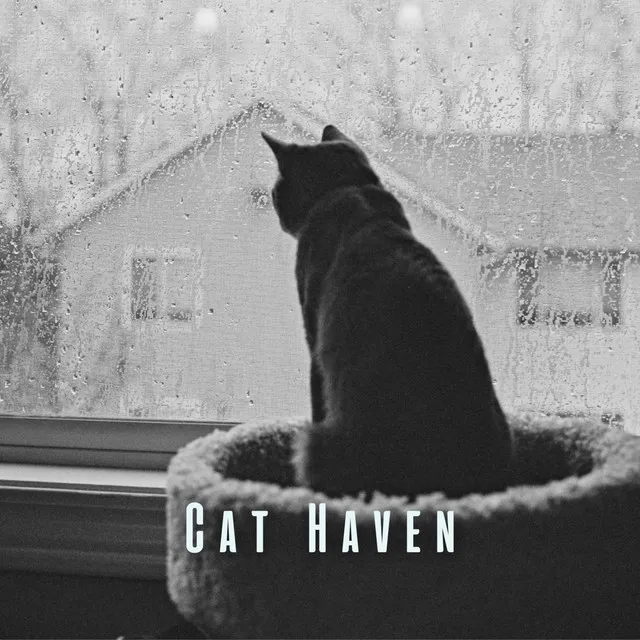 Cat Haven: White Noise and Rain for Tranquil Cat Moments