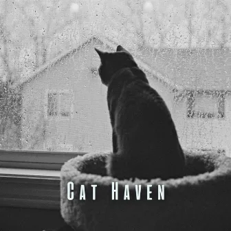 Cat Haven: White Noise and Rain for Tranquil Cat Moments by TV Static White Noise