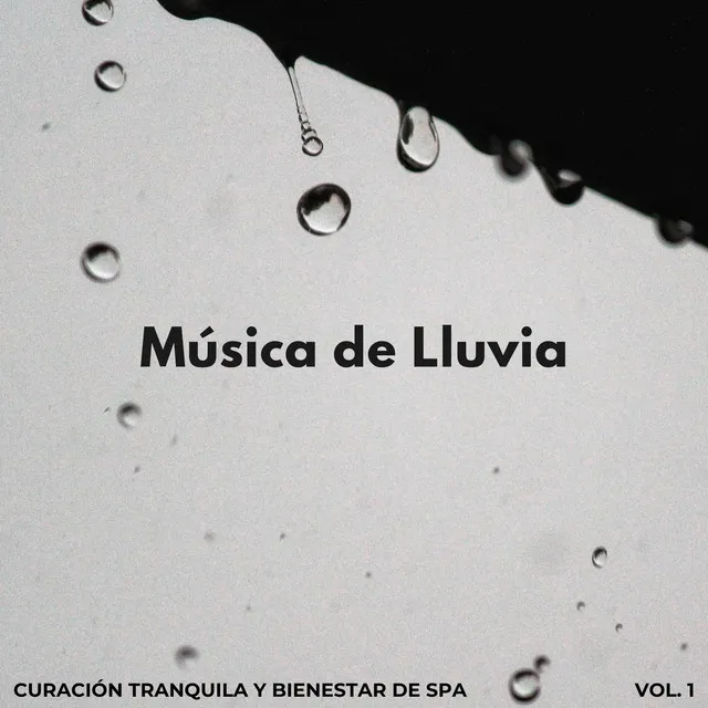 Música De Lluvia: Curación Tranquila Y Bienestar De Spa Vol. 1