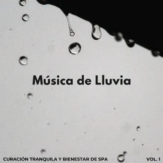 Música De Lluvia: Curación Tranquila Y Bienestar De Spa Vol. 1 by 