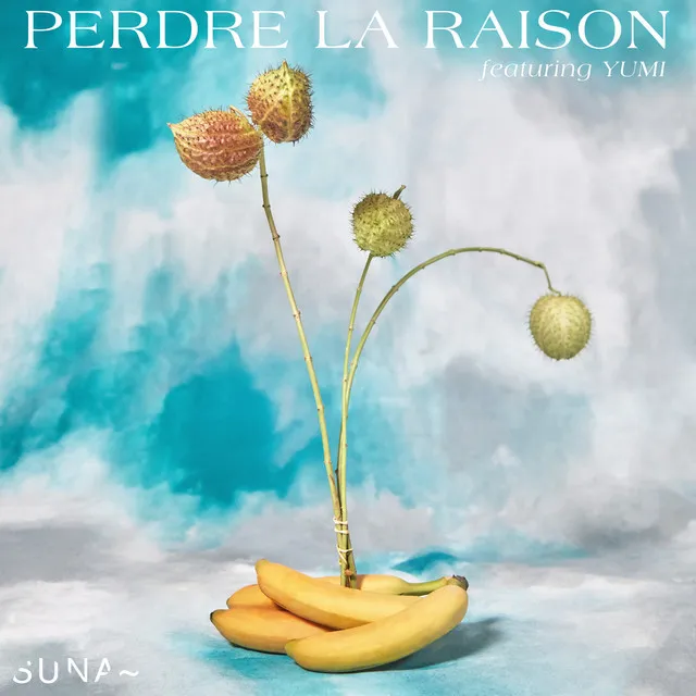 Perdre la raison