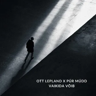 Vaikida võib by Ott Lepland