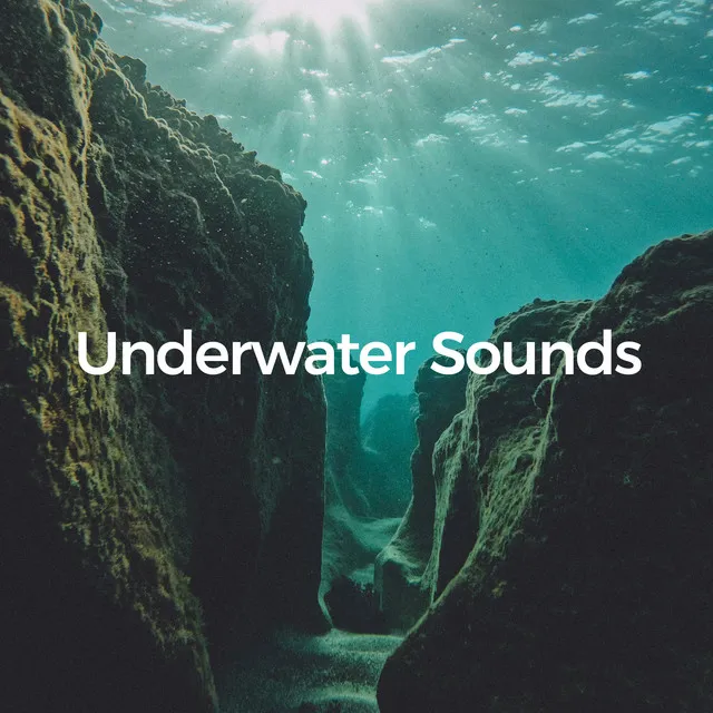 Underwater Sounds (Deep Sea Ocean Ambient)