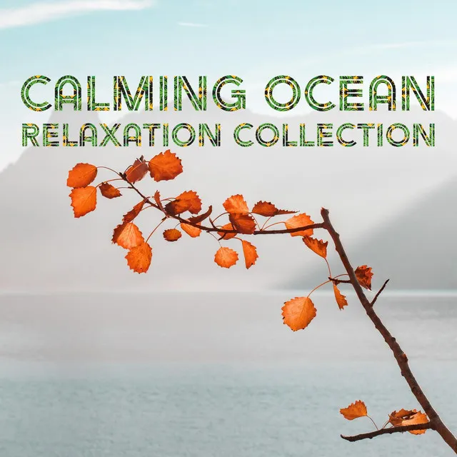 Ocean Waves for Meditation