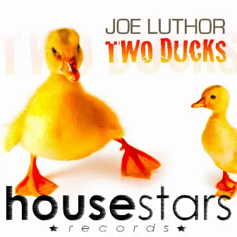 Two Ducks by Joe Luthor