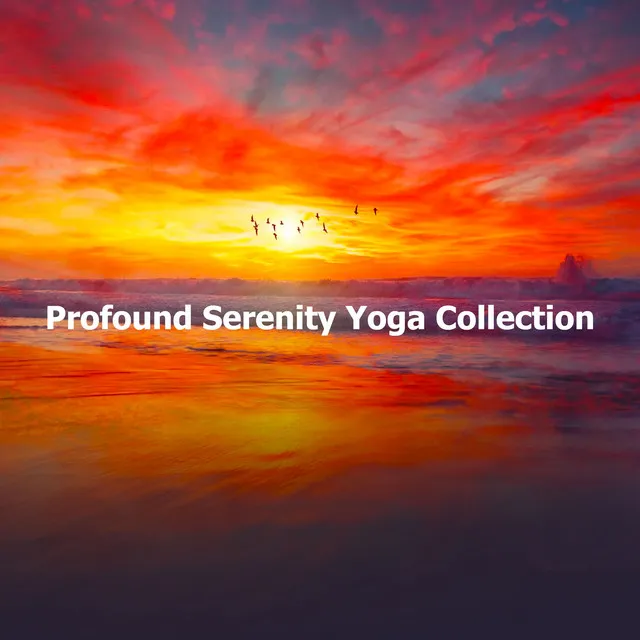 Profound Serenity Yoga Collection