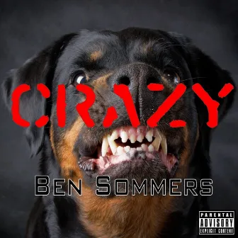 Crazy by Ben Sommers