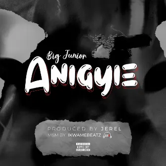 Anigyie by Big Junior