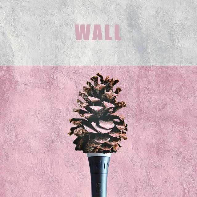 Wall