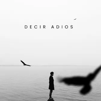 Decir Adios by Carolina Muñoz Torres