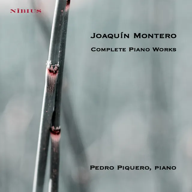 Joaquín Montero. Complete piano Works