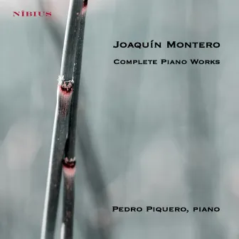 Joaquín Montero. Complete piano Works by Pedro Piquero