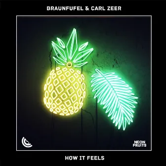 How It Feels by Carl Zeer