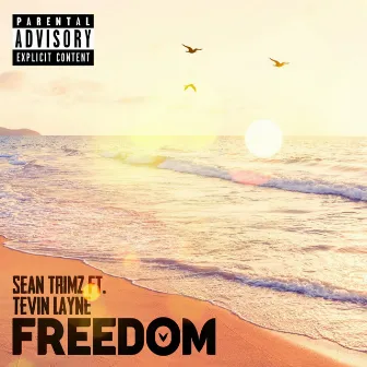 Freedom by Sean Trimz