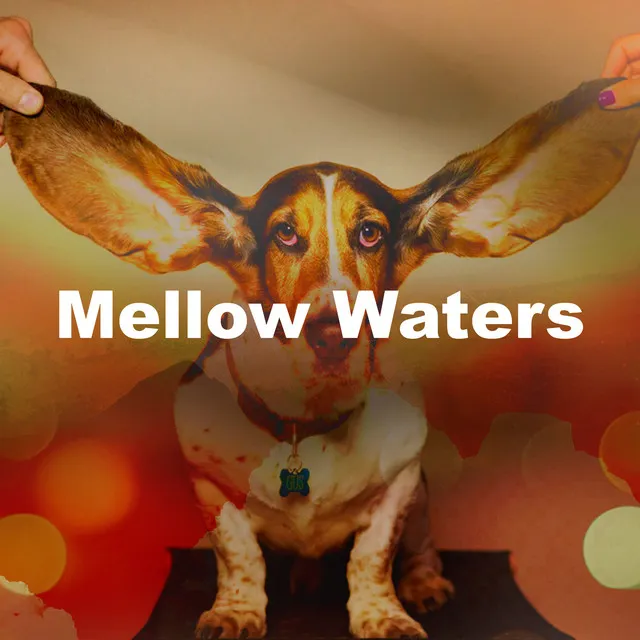 Mellow Waters