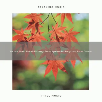 Autumn Sleep Sounds For Mega Relax, Spiritual Recharge and Sweet Dreams by Unknown Artist