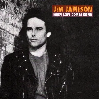 When Love Comes Down by Jimi Jamison