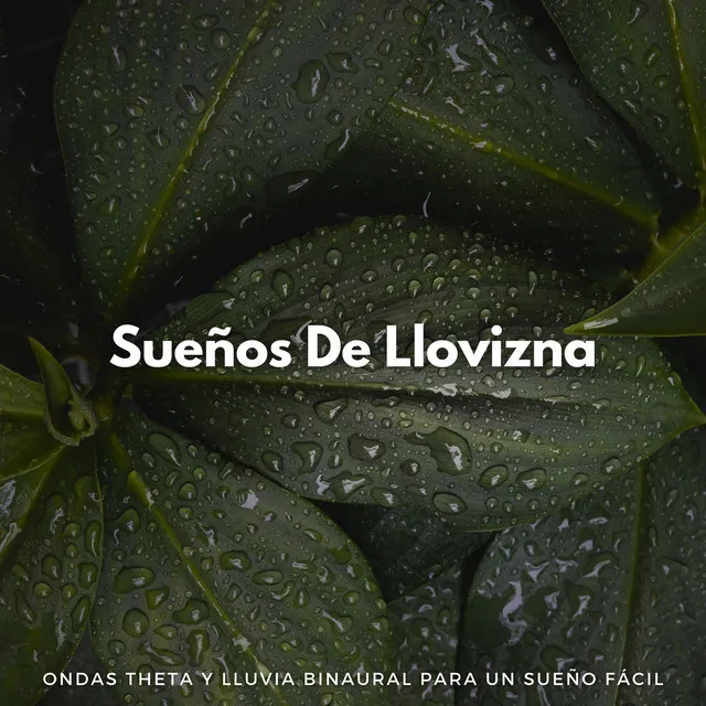 Escenarios De Sonidos De Lluvia Soñadora