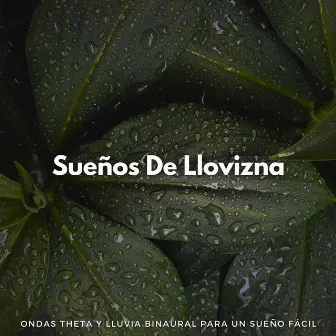 Sueños De Llovizna: Ondas Theta Y Lluvia Binaural Para Un Sueño Fácil by Experiencia de sueño definitiva