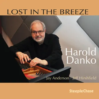 Lost in the Breeze by Harold Danko