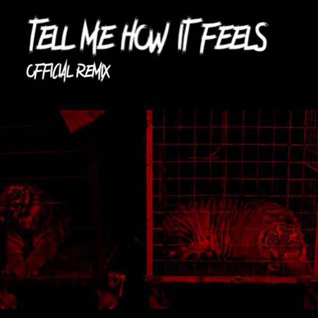 Tell Me How It Feels (Remix)