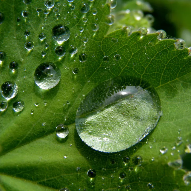 Wet Day with some Rain