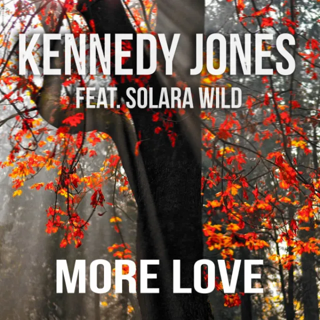 More Love (feat. Solara Wild)