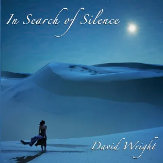 In Search of Silence by David Wright