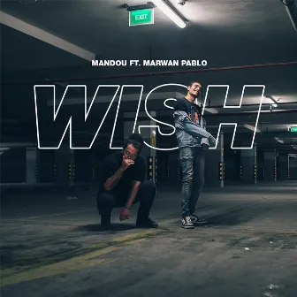 Wish by Mandou