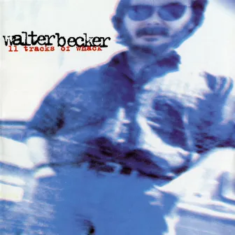 11 Tracks Of Whack by Walter Becker