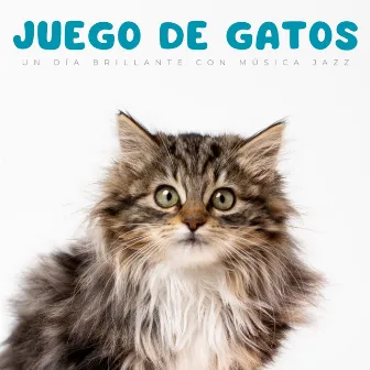 Juego De Gatos: Un Día Brillante Con Música Jazz by Jazz de cafetería