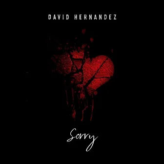 Sorry by David Hernandez