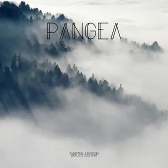 Pangea by LEAKEY WOOD