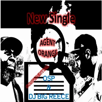 Agent Orange by DJ Big Reece