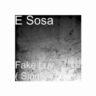 Fake LUV by E Sosa