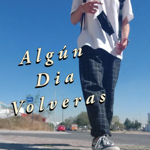 ALGUN DIA VOLVERAS