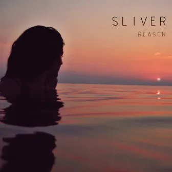 Reason by Sliver