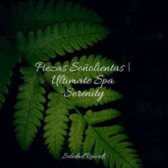 Piezas Soñolientas | Ultimate Spa Serenity by Academia de Música para Massagem Relaxamento