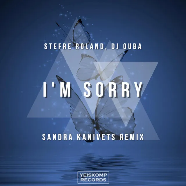 I'm Sorry - Sandra Kanivets Remix