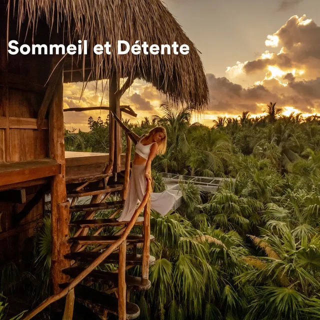 Oasis de Sommeil