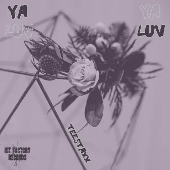 Ya Luv by TeeStaxx