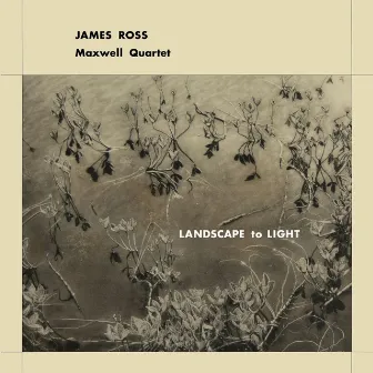 Landscape to Light by James Ross