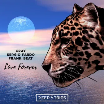 Love Forever by Sergio Pardo