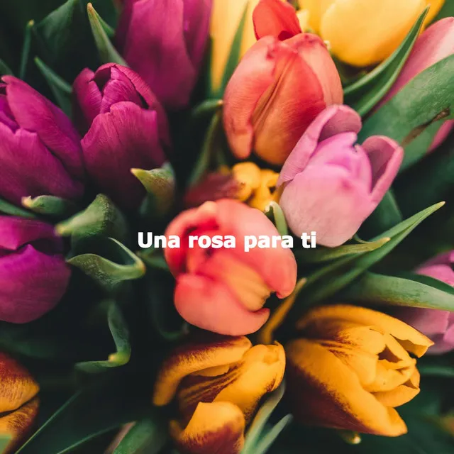 Una rosa para ti