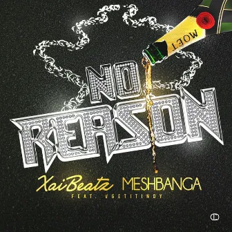 No Reason (feat. #GetitIndy) by Mesh Banga