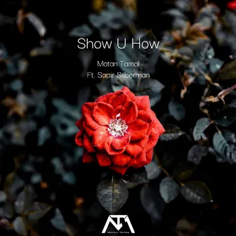 Show U How by Matan Tamal