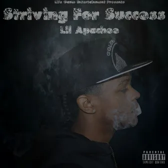 Striving For Success by Lil Apachee